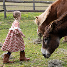 Load image into Gallery viewer, Girls Dixie Dress - Pony Gingham