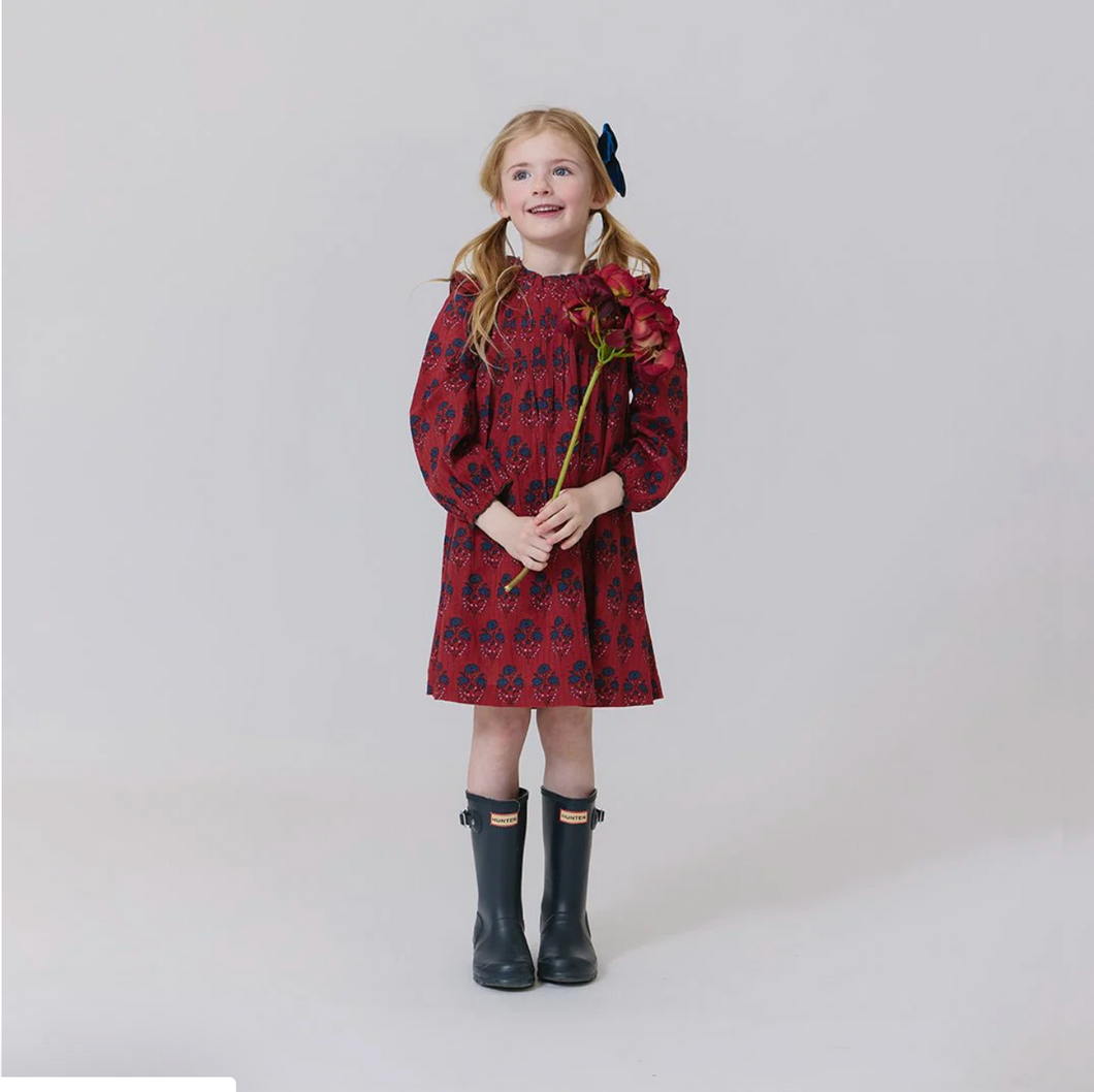 Pink Chicken Red Autumn Dress