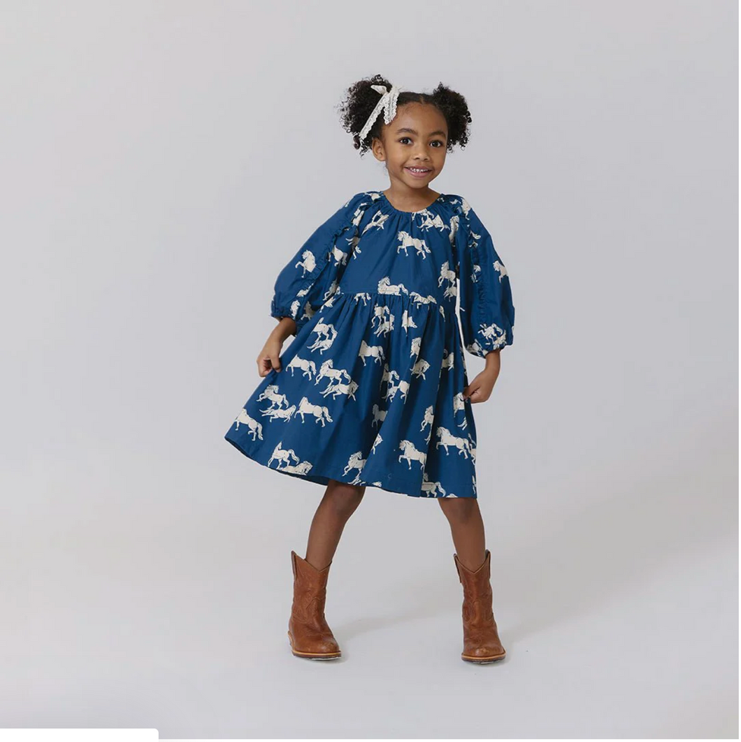 Pink Chicken Blue Horse Dress